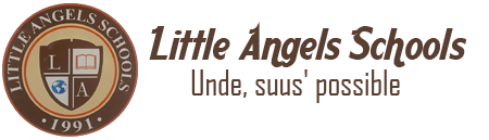 Little Angles Schools